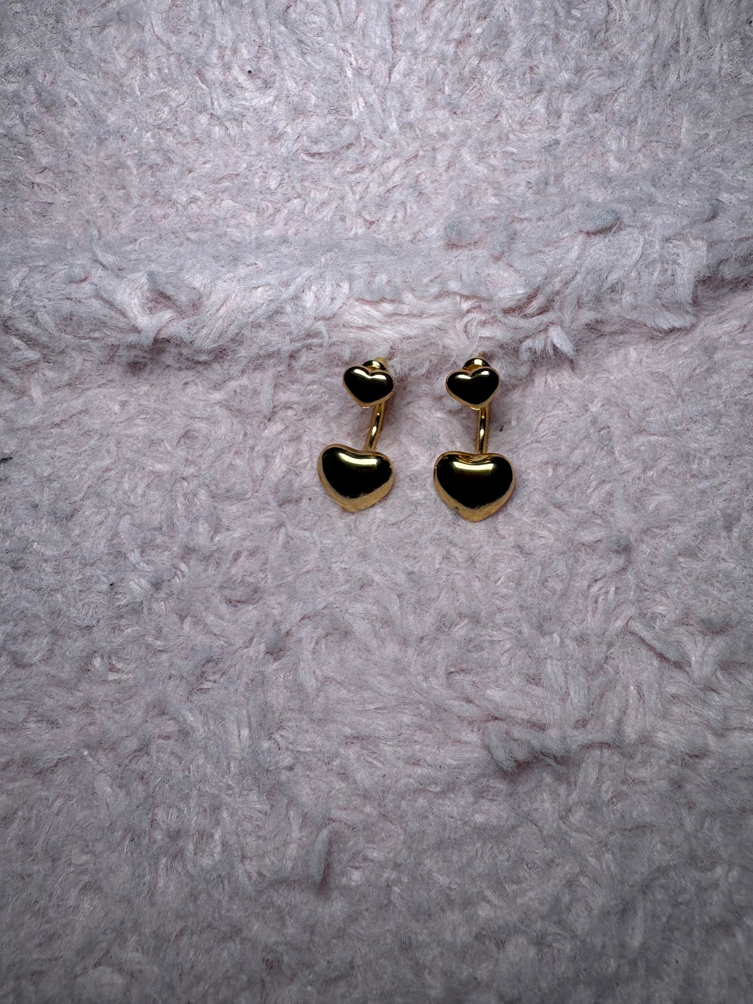 Stainless steel earrings